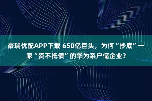 豪瑞优配APP下载 650亿巨头，为何“抄底”一家“资不抵债”的华为系户储企业？