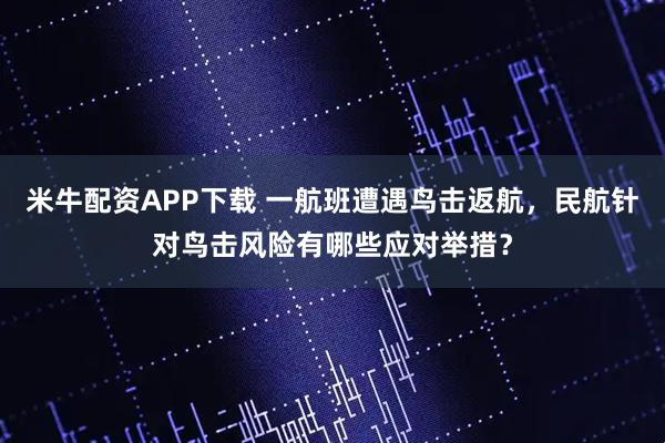 米牛配资APP下载 一航班遭遇鸟击返航,民航针对鸟击风险有哪些应对举措?