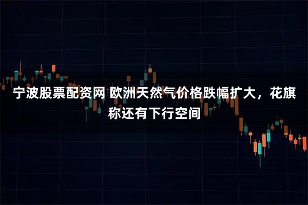 宁波股票配资网 欧洲天然气价格跌幅扩大，花旗称还有下行空间