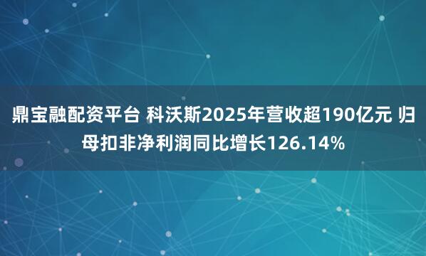 鼎宝融配资平台 科沃斯2025年营收超190亿元 归母扣非净利润同比增长126.14%